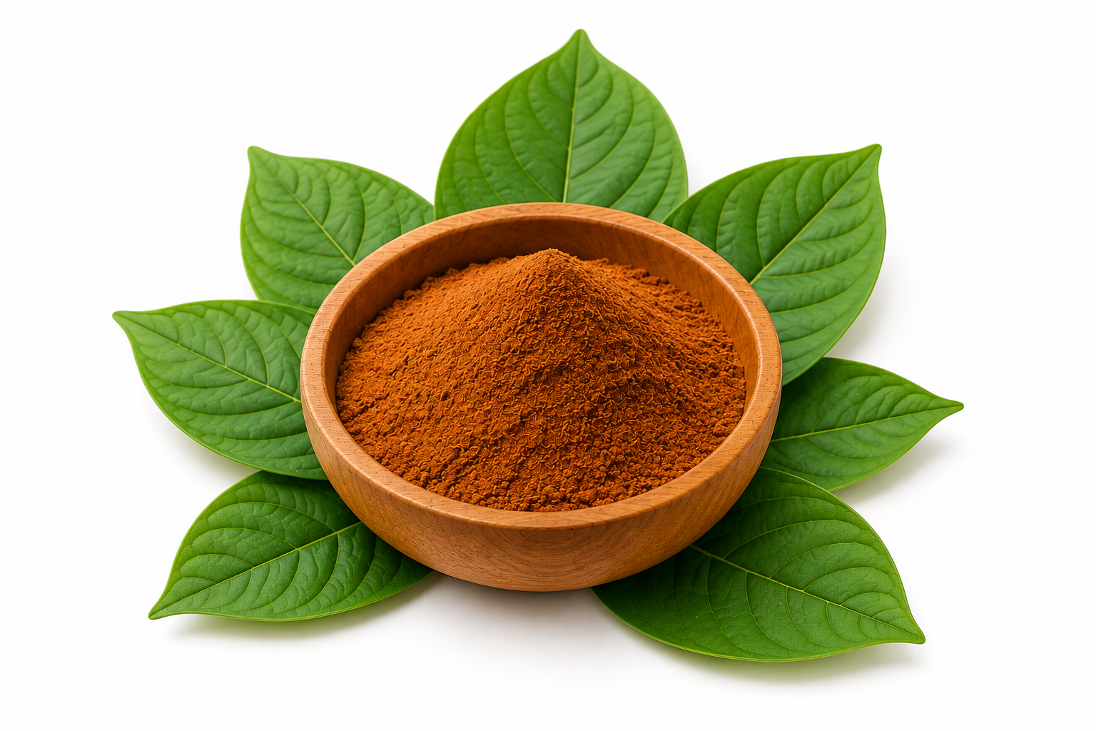 Red Dragon Kratom Pulver in Holzschale auf Kratomblättern